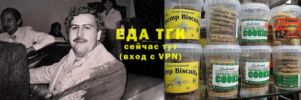 стаф Новозыбков