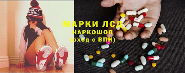 стаф Новозыбков