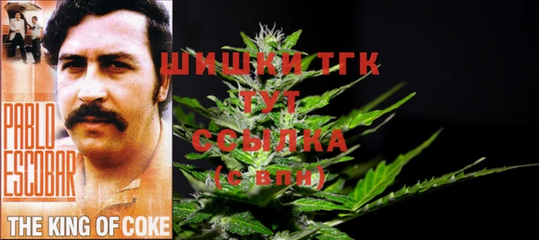 мдпв Новодвинск