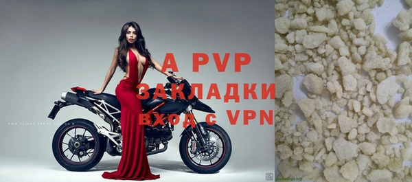 стаф Новозыбков