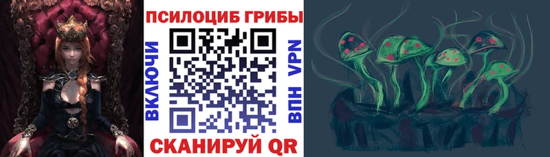 Псилоцибиновые грибы Cubensis  Шлиссельбург 